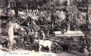 223- Boufarik - Le marche